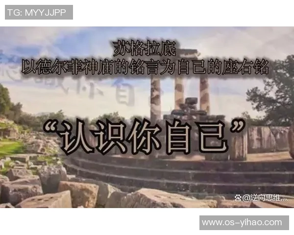 301自由与神秘人之间的较量揭示了人性与自由的深刻哲学思考