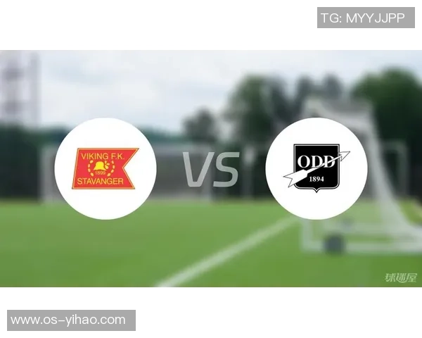 奥德与维京对决深度分析探讨两者的历史背景与文化影响