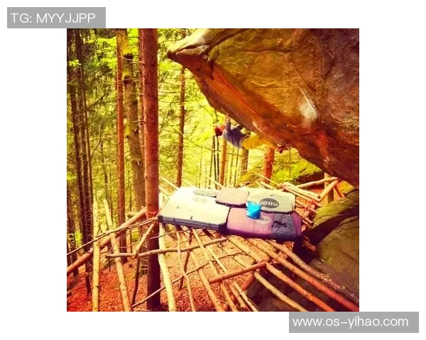 攀岩深度揭秘：探索北京攀岩队的运营模式与发展之路